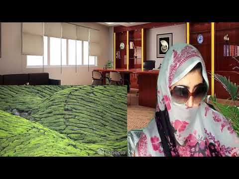 Pakistani React To | Malaysia Vacation Travel Guide  Expedia | Full Video