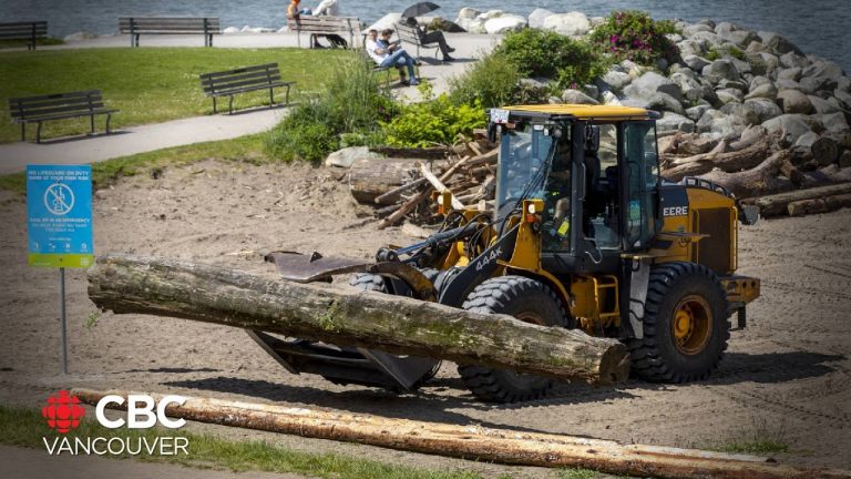 Vancouver wants its beach logs back