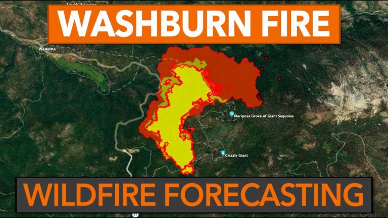 Update and Forecast for the Washburn Fire in Yosemite National Park
